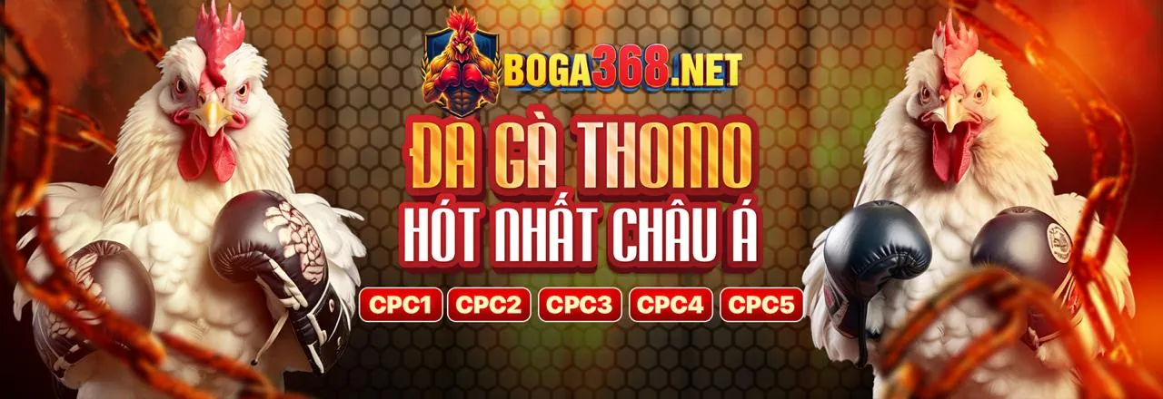 Đá gà trực tuyến 8kbey Đăng Nhập